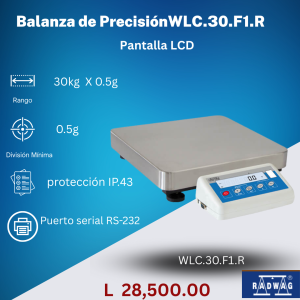 Balanza de Precisión