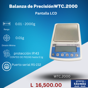 Balanza de Precisión