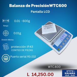 Balanza de Precisión
